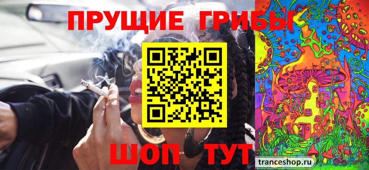 Псилоцибиновые грибы мицелий  Псилоцибиновые грибы мухоморы  Вход с VPN  Волгоград 